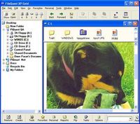 FileQuest XP