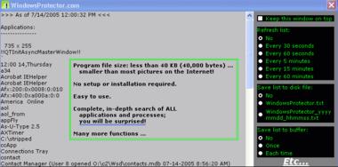 WindowsProtector