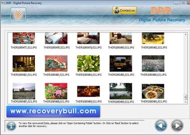 Digital Image Salvage Utility